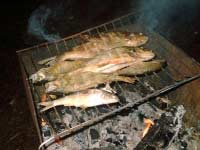 Рыба по-свердловски на углях