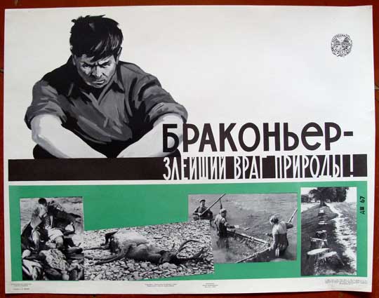 Браконьера, застрелившего двух лосей, будут судить в Башкирии
