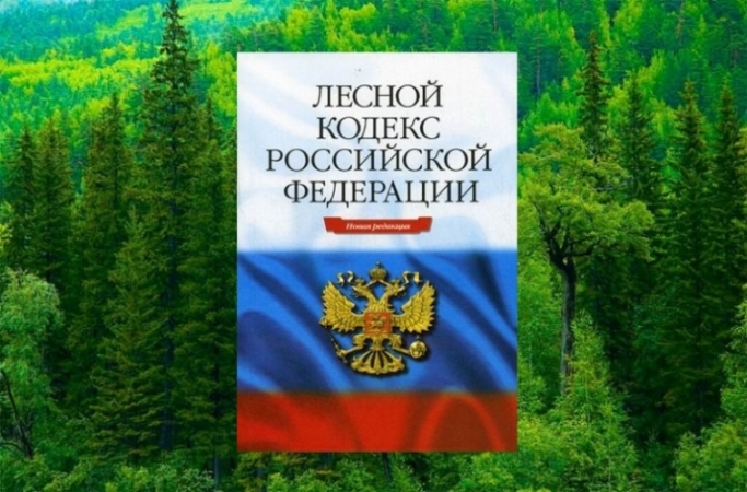 Жалобы охотников повлекли изменения Лесного кодекса