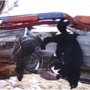В Татарстане утверждены нормы допустимой добычи охотничьих ресурсов