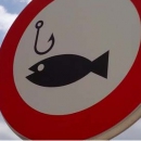 Нижегородские депутаты требуют усилить контроль над рыболовами-любителями